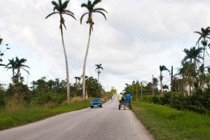 Old cars and horse carriages on Cuban roads