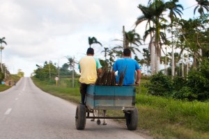Horse carriage on Cuban road