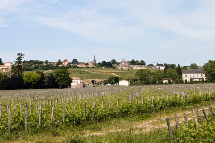 Saint-Emilion wineries