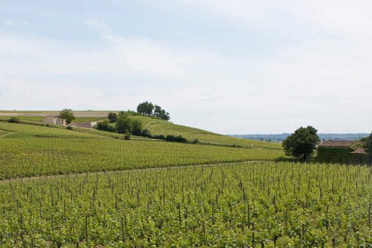 Saint-Emilion wineries