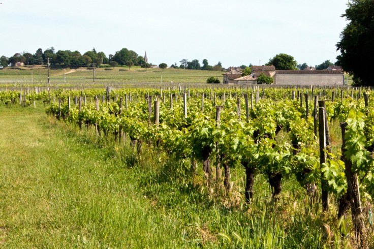 Saint-Emilion wineries