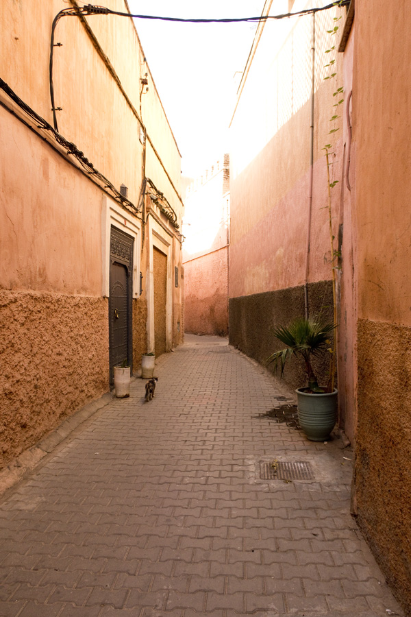 Narrow streets of medina in Marrakesh