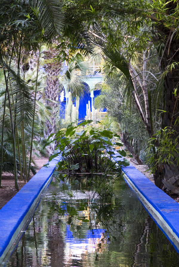 Jardin Majorelle